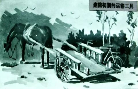 淄博市第一醫(yī)院文化建設(shè)優(yōu)秀成果榮獲三項省級獎項