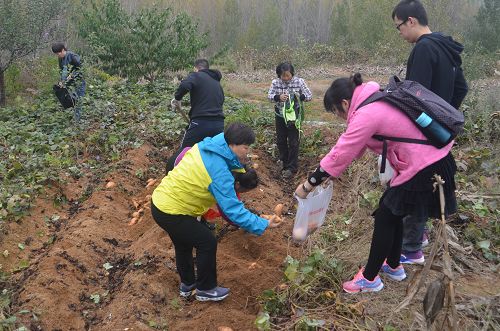 10月28日，淄博市中心血站鄭站長帶領(lǐng)部分黨員干部一行10余人，一大早就趕到沂源縣悅莊鎮(zhèn)西遼軍部村，在駐村第一書記尹燕梅的陪同下，一起到貧困戶的農(nóng)田里參加義務(wù)勞動(dòng)。這是市中心血站與西遼軍部村建立結(jié)對(duì)幫扶關(guān)系以來第四次組織工作人員到村里開展獻(xiàn)愛心，送溫