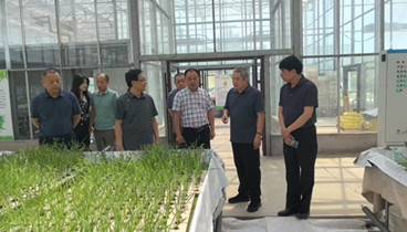 湖南省市場監(jiān)管局來濟(jì)南市專題調(diào)研蔬菜產(chǎn)業(yè)標(biāo)準(zhǔn)化建設(shè)情況